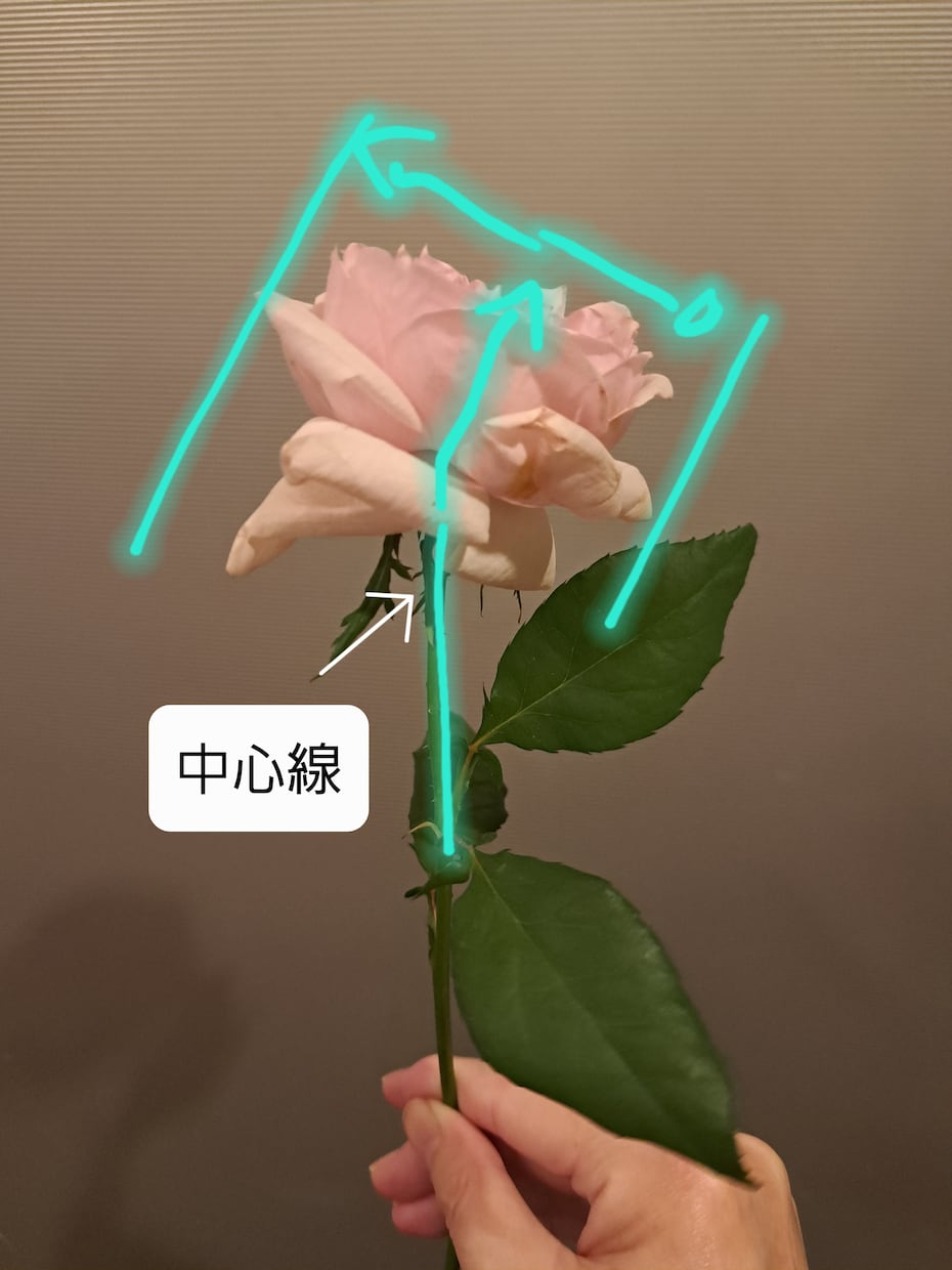 美大進学相談含む絵画イラスト色彩知識丁寧に教えます ご希望に応じてカスタマイズ!職歴21年の講師が丁寧に指導 イメージ1