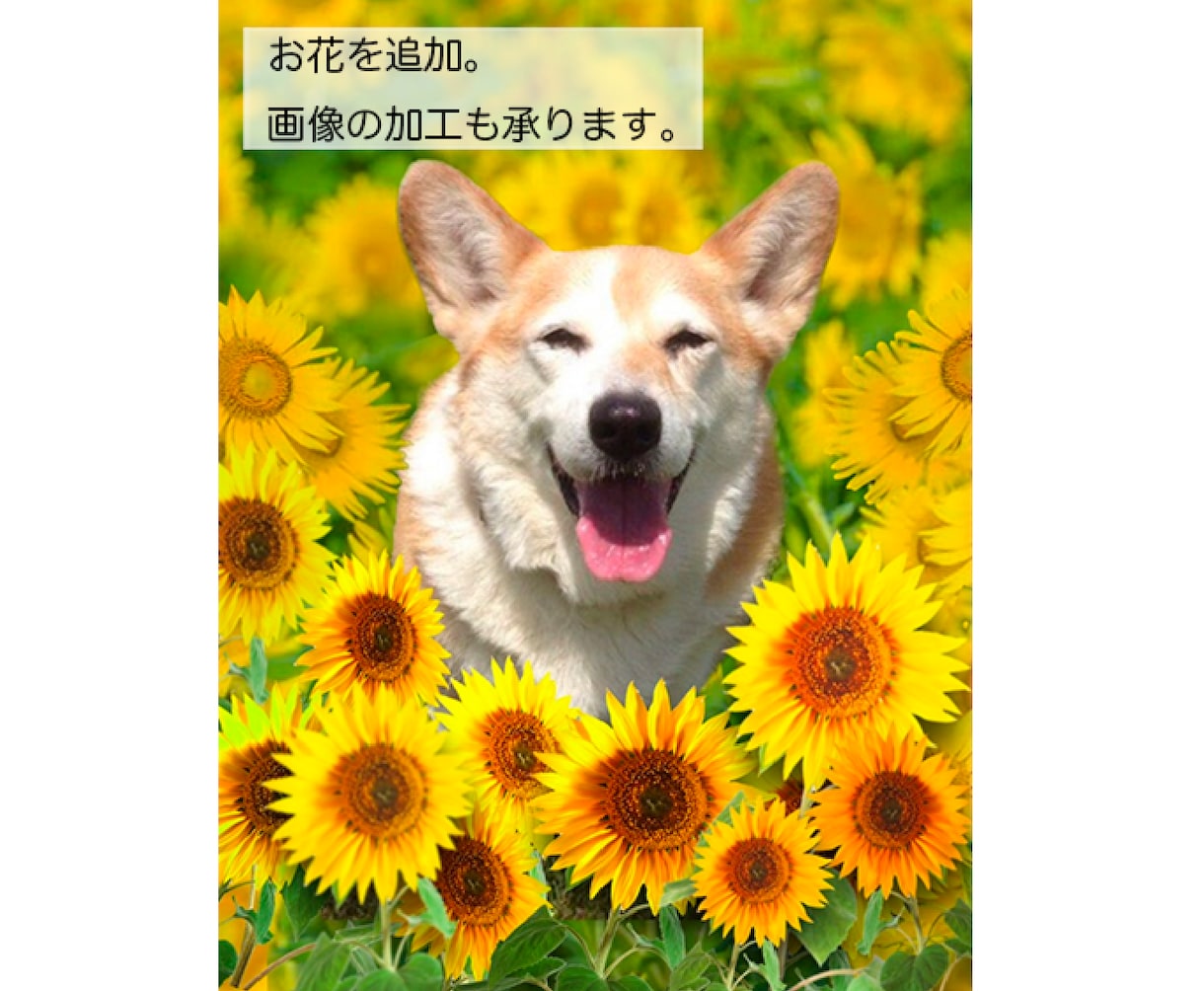 写真・イラストをクロスステッチ図案にします クロスステッチ図案にします【オリジナル図案制作】 イメージ2