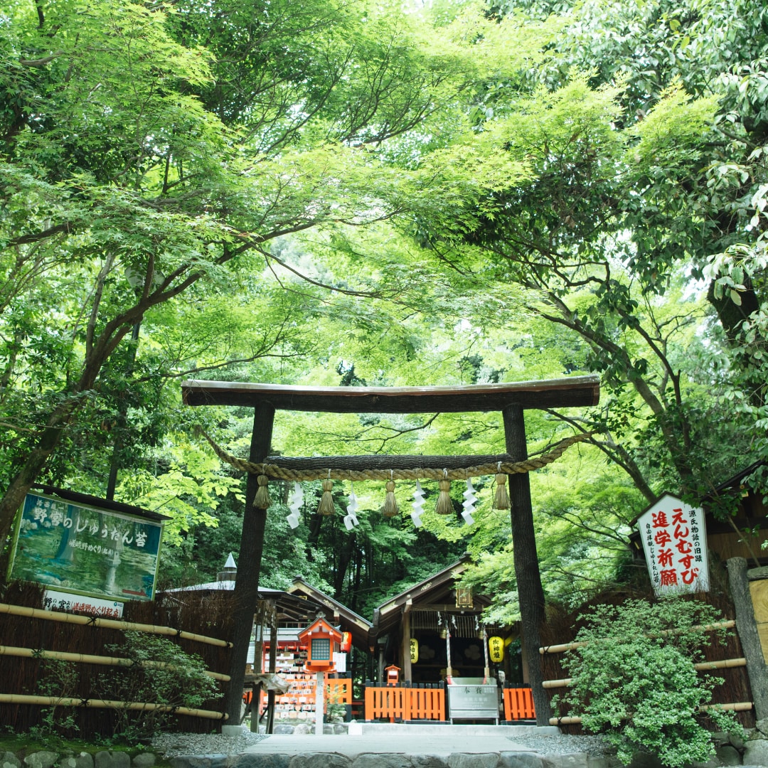 誰にも言えない悩み解決。神様からの伝言お伝えします 霊視、チャネリング、神様カードにて鑑定いたします。 イメージ1