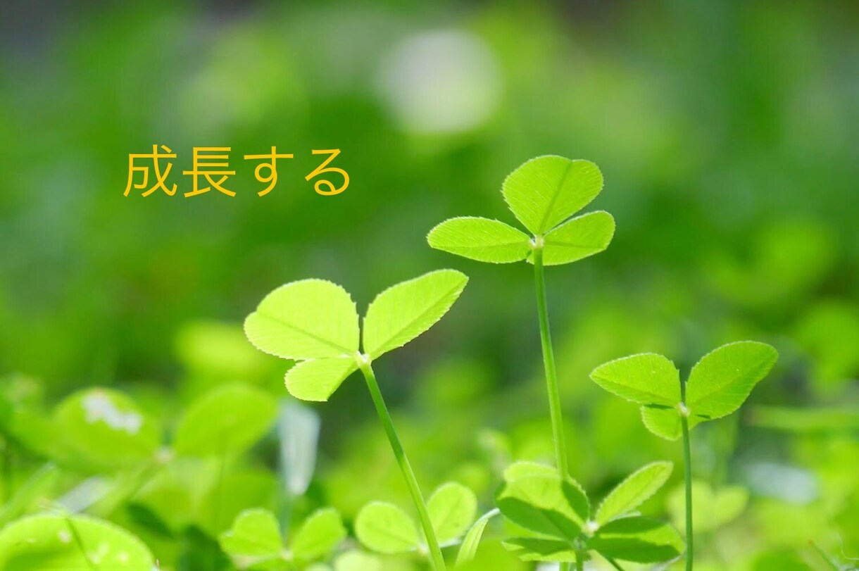 誰かに聞いてもらいたいをあなたのペースで話せます 心と身体を癒すセラピスト歴10年の私があなたに寄り添います♡ イメージ5