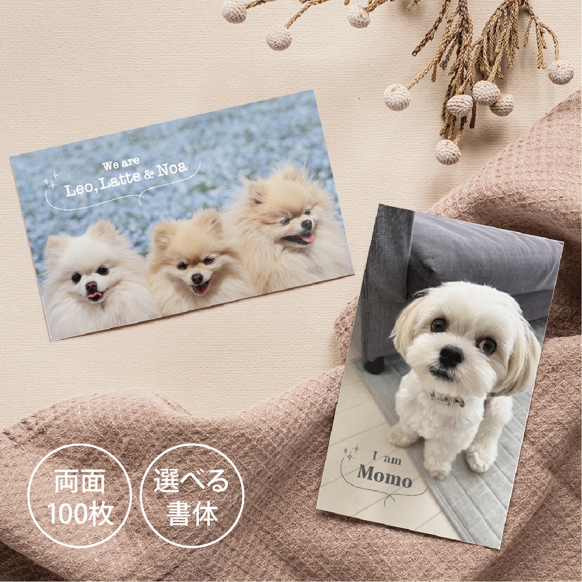 ペット・うちの子名刺をお気に入り写真で作成します デザイナーへのセミオーダーで両面印刷100枚送料込 イメージ1