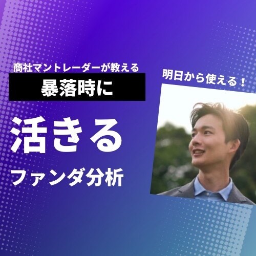 暴落時に活きる【ファンダメンタル分析】伝授します 【PDF10ページ以上/即日納品対応！】 イメージ1