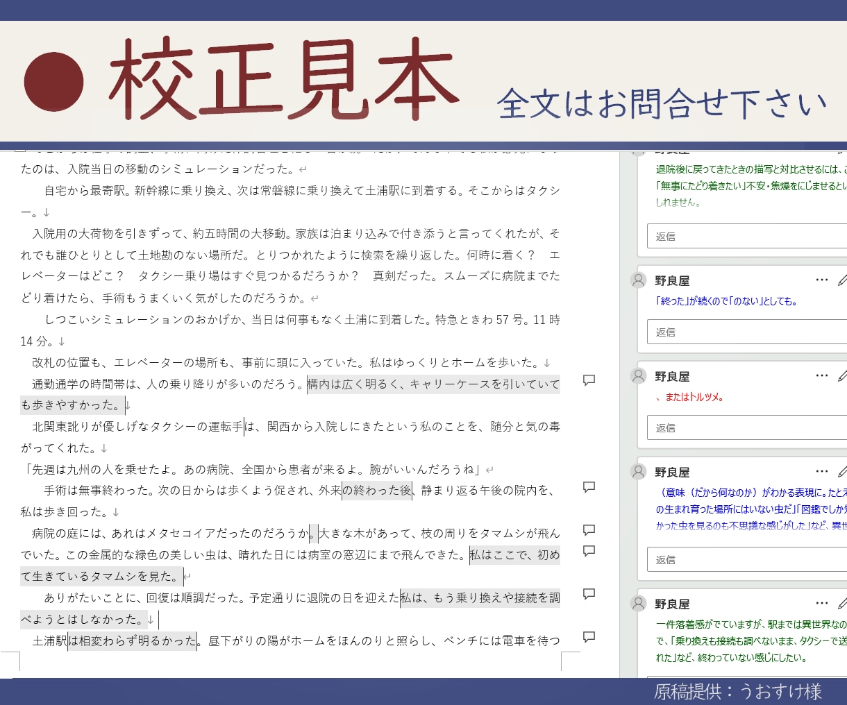 添削・校正「納得して直せる」アドバイスをします 書きかけOK！プロ校正者が最優先課題と改善方法を整理します イメージ2