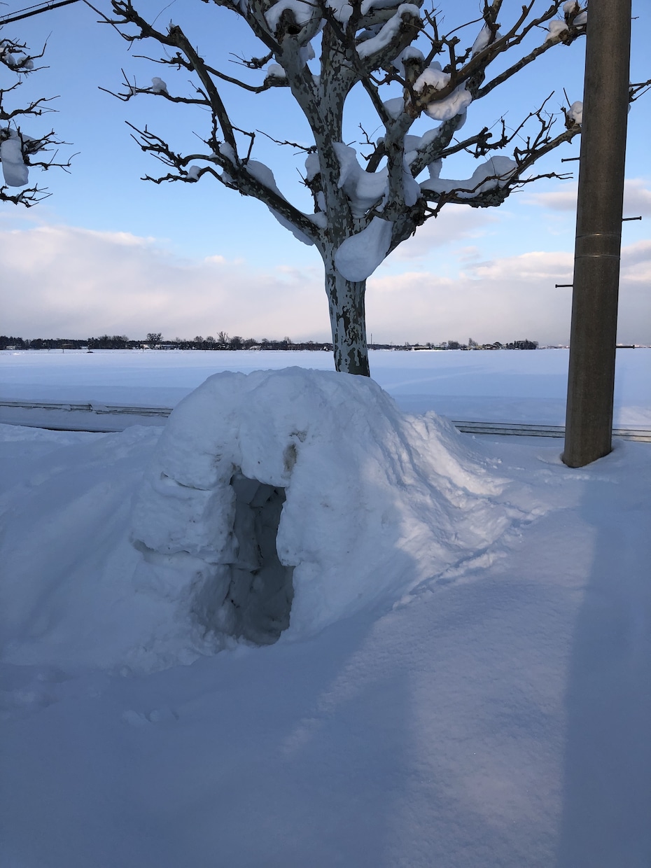 雪遊び教えます 子供から大人まで雪で楽しめる遊びを提案致します。 イメージ2