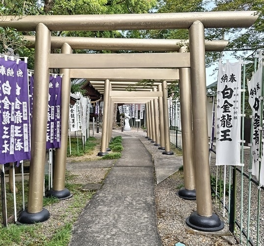 神社の神様からのメッセージを✨お伝えします 神様から”あなた”にどうしても伝えたいことは？？ イメージ2