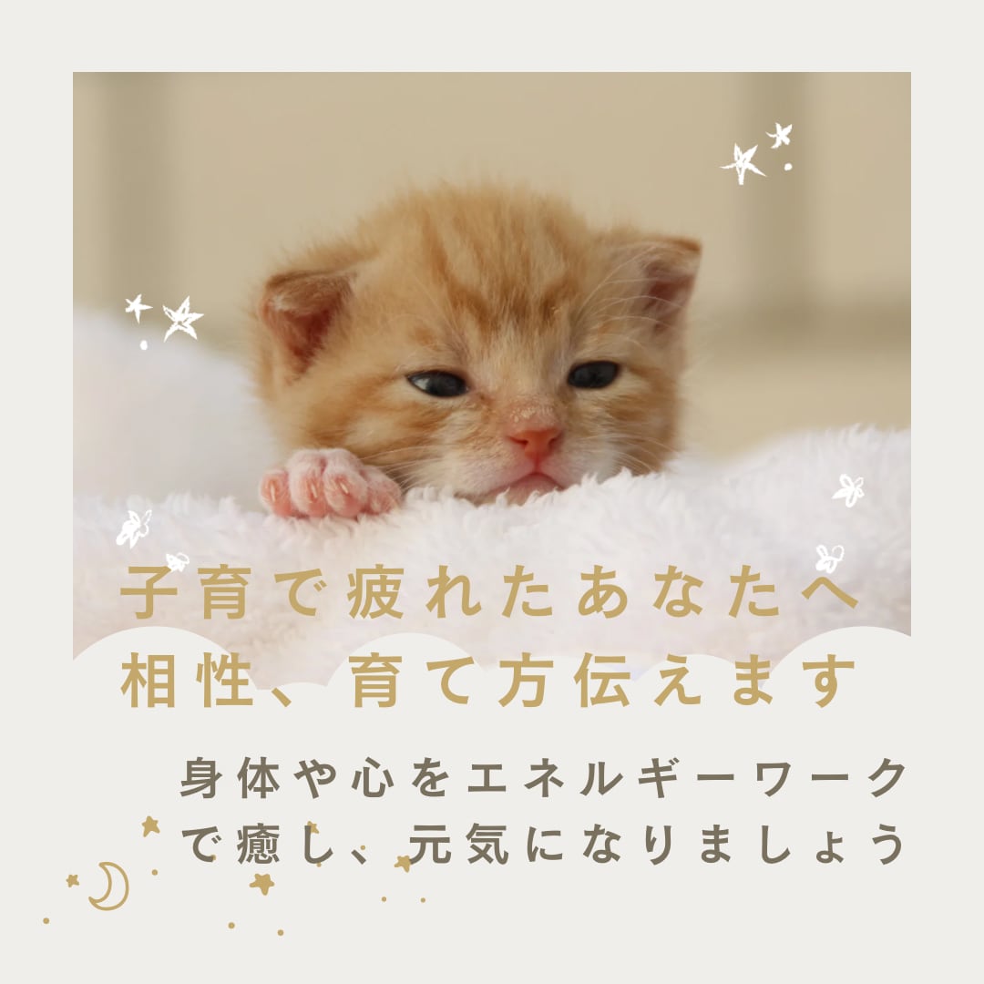 子育ての疲れ悩み解決します 現状より次の一歩に行ける様にアドバイスします。 イメージ1