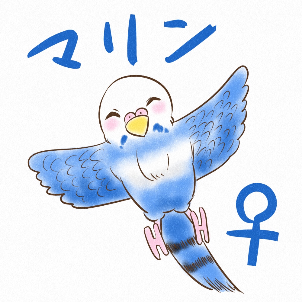 大切なペットの可愛い似顔絵描きます 【実績限定】犬猫から鳥・小動物まで！アイコンや年賀状に♪ イメージ7