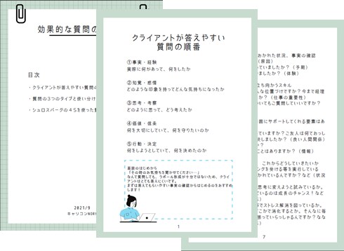 キャリコン実技試験：質問と口頭試問のコツ教えます 実技対策サービスで大好評いただいた資料です。 イメージ2