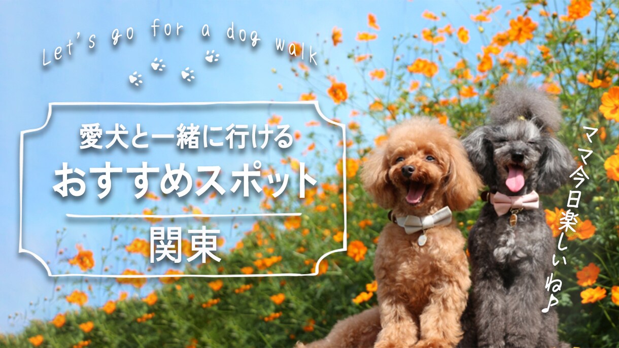 格安価格１５００円で！Web画像作成します 妥協せず細かいところまでこだわり丁寧にお作りします！ イメージ6