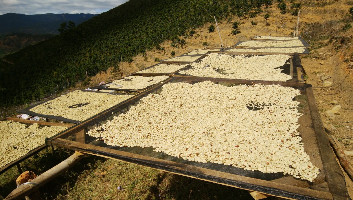 1週間コースコーヒーインストラクター1級が答えます コーヒーの淹れ方で悩んでる方に、解決方法をお伝えします！ イメージ4