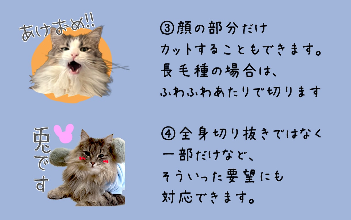 大好きなペットの写真でラインスタンプをお作りします 制作〜販売まで全てお任せでOK！なんでもご相談ください！ イメージ4