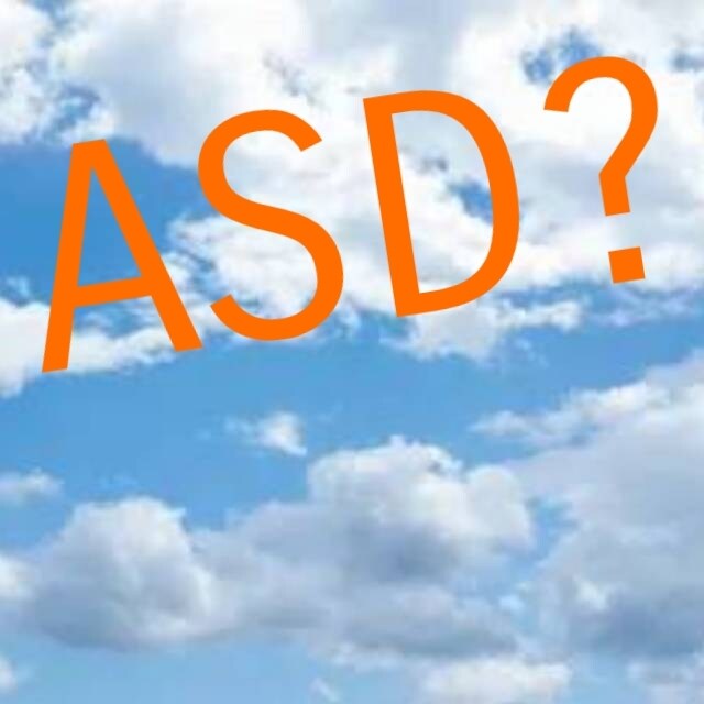 ASD?なのかな…そのお悩みの相談聞きます パートナーや家族に辛くあたられたりしていませんか？ イメージ1