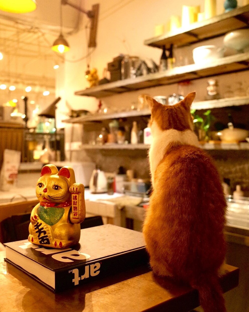 上海歴10年のデザイナーがお店探しお手伝いします 雰囲気の良い素敵なお店から地元に愛されるどローカル店まで イメージ7