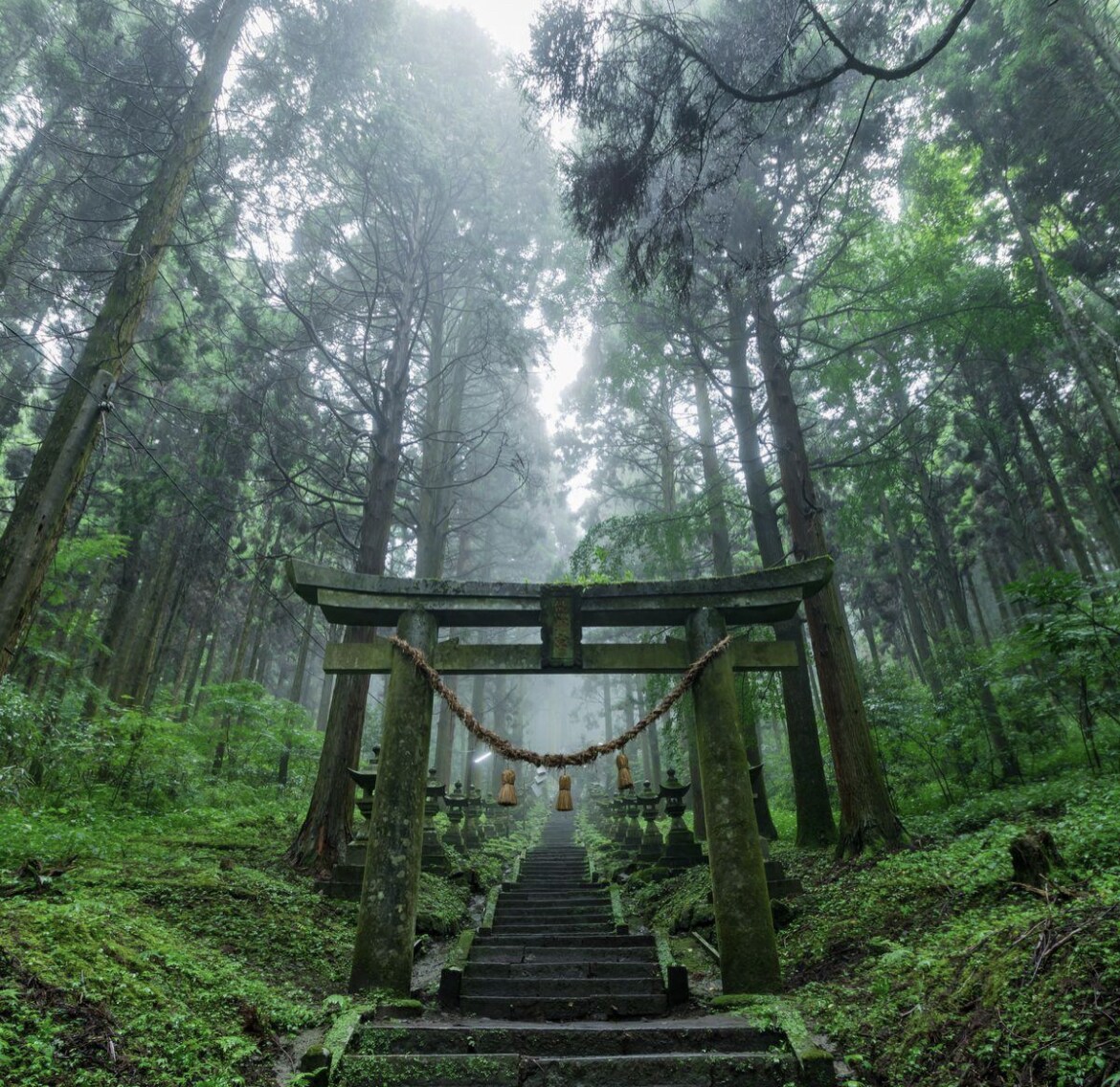 秘【禁断の恋】あなたの運命を３日間祈祷します どんな形の愛も、神様は、否定せんけん。 イメージ3
