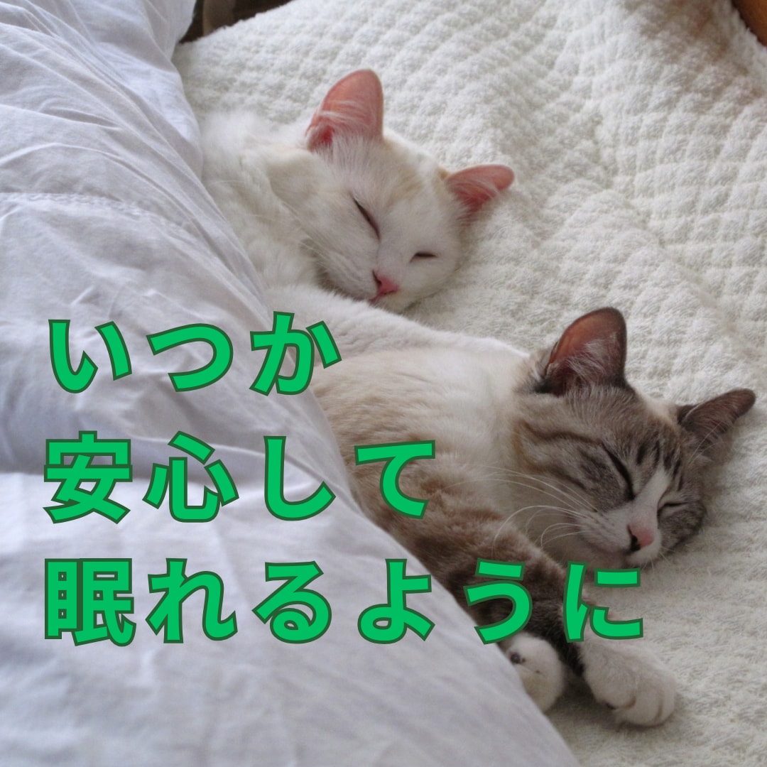 我慢する？｜耐える？｜離婚・結婚生活の悩み聞きます 経験者☆離婚｜性格の不一致｜モラハラ｜調停｜別居｜親権｜不倫 イメージ10