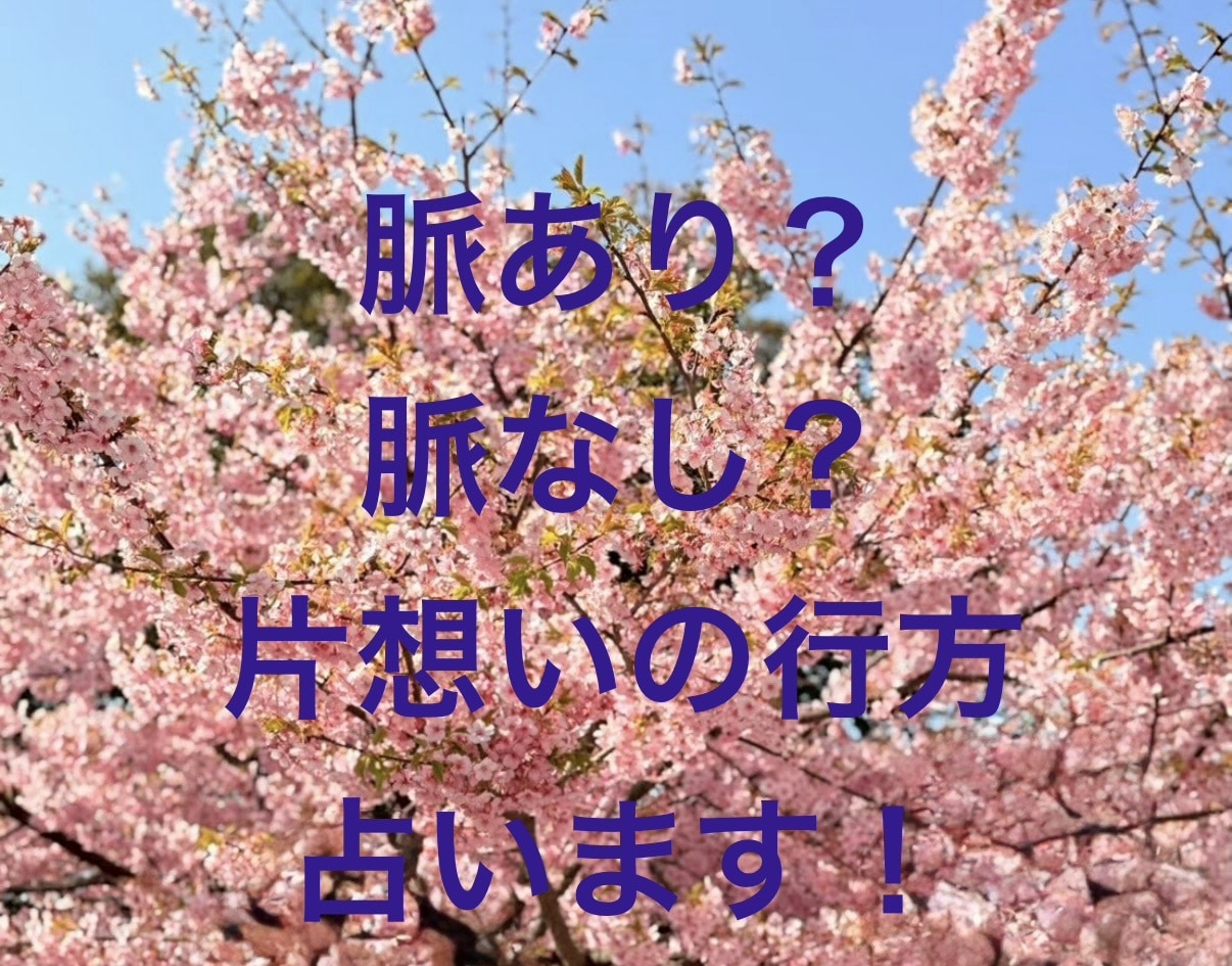 片想い❤️質問5つ❣️愛される行動教えます チャッピーの占いでは物足りない方におすすめ！深く読み解きます イメージ7