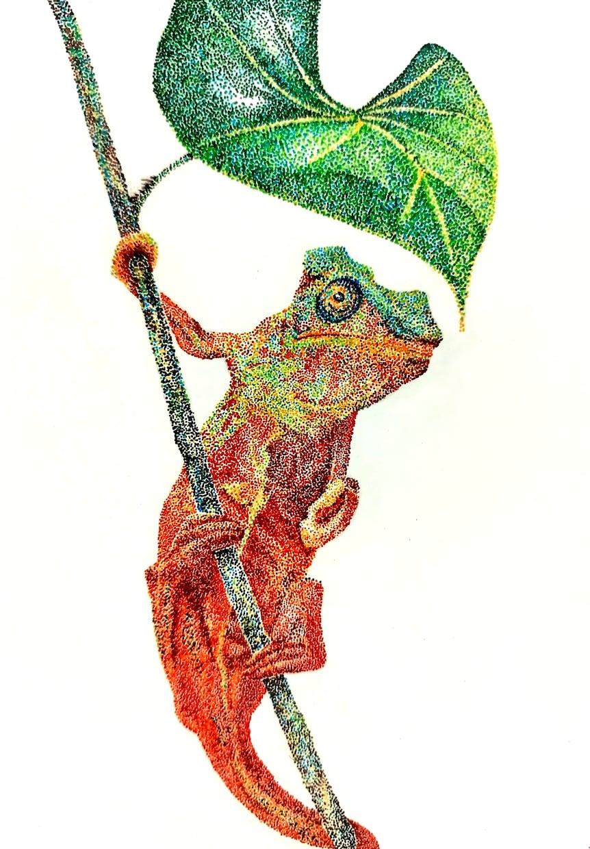 ペット、風景画などのペン画イラスト描きます ペットの写真や思い出の風景などをペン画イラストにいたします。 イメージ7