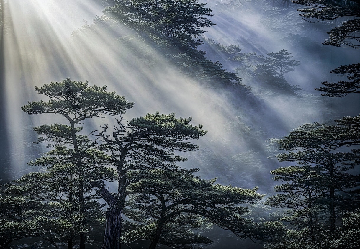 写真加工・高画質化・不要物除去など全般に対応します 写真の悩み全般を丁寧に解決し、レタッチで美しく整えます イメージ7