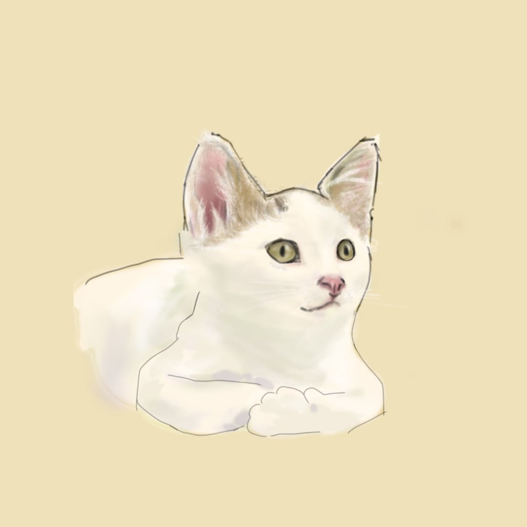 ご自宅で一緒に住んでるネコのイラストを制作します ご自宅ネコちゃんイラスト（お試し版：肩より上・顔アップ） イメージ5