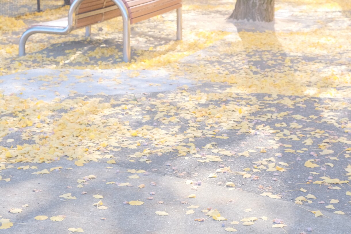 みなさんの思い出写真撮ります 趣味程度ですが思い出写真任せていただけたらと思います！ イメージ4