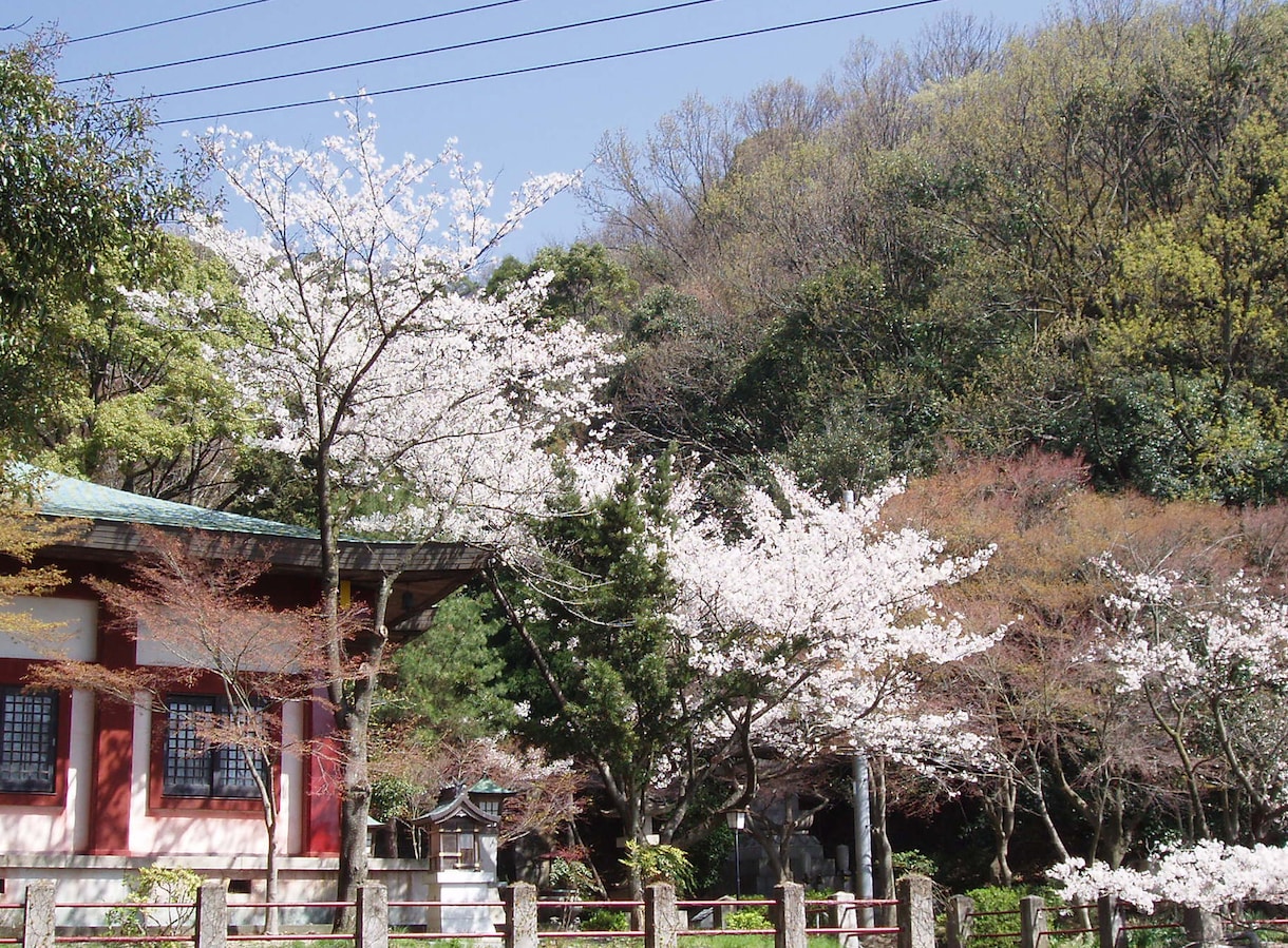 お墓や永代供養など全ての問題にアドバイスをします お寺や石材店でも教えてもらえない事！ぶっちゃけお話しします イメージ1