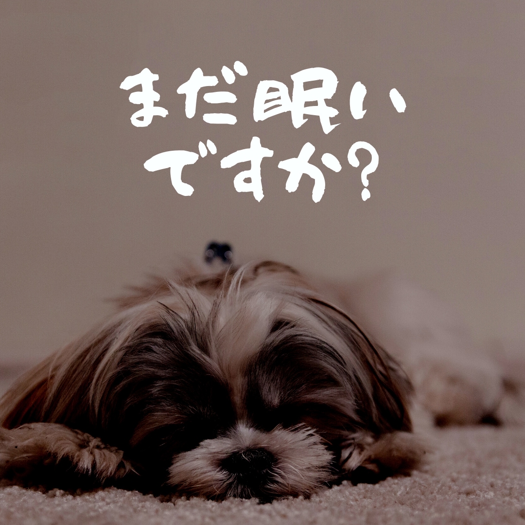 体内時計研究経験者が睡眠衛生相談に乗ります 500円で自分の睡眠を見直してみませんか？（国家資格保持者） イメージ6