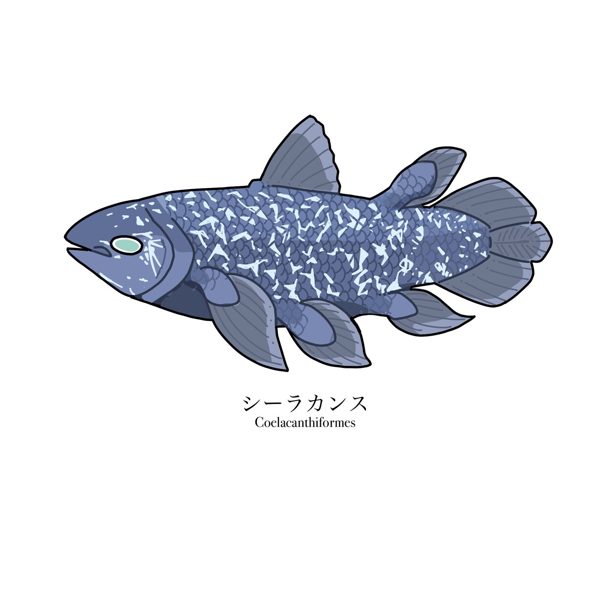 魚のイラストを作成します 魚好きがあなただけのお魚イラストを描きます イメージ3