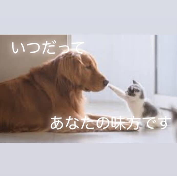 魂のヒーリングを致します どんな内容でも受け止めます。気を楽にお話し下さい♡ イメージ2