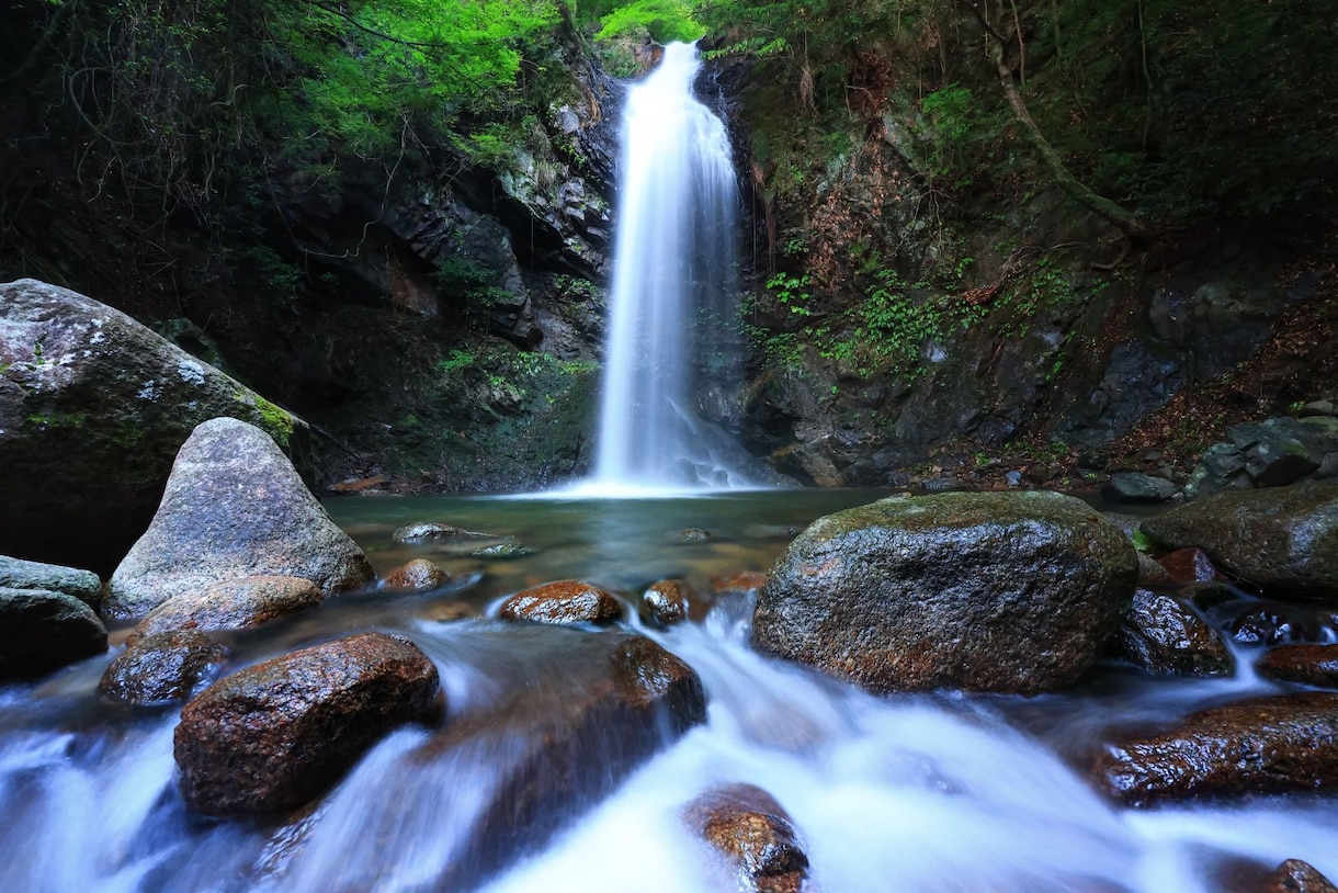 隠岐の島★水神様の神力占い【人間関係】霊視占います ★霊視タロット★エネルギー鑑定★フーチ★数秘術★西洋占星術★ イメージ2