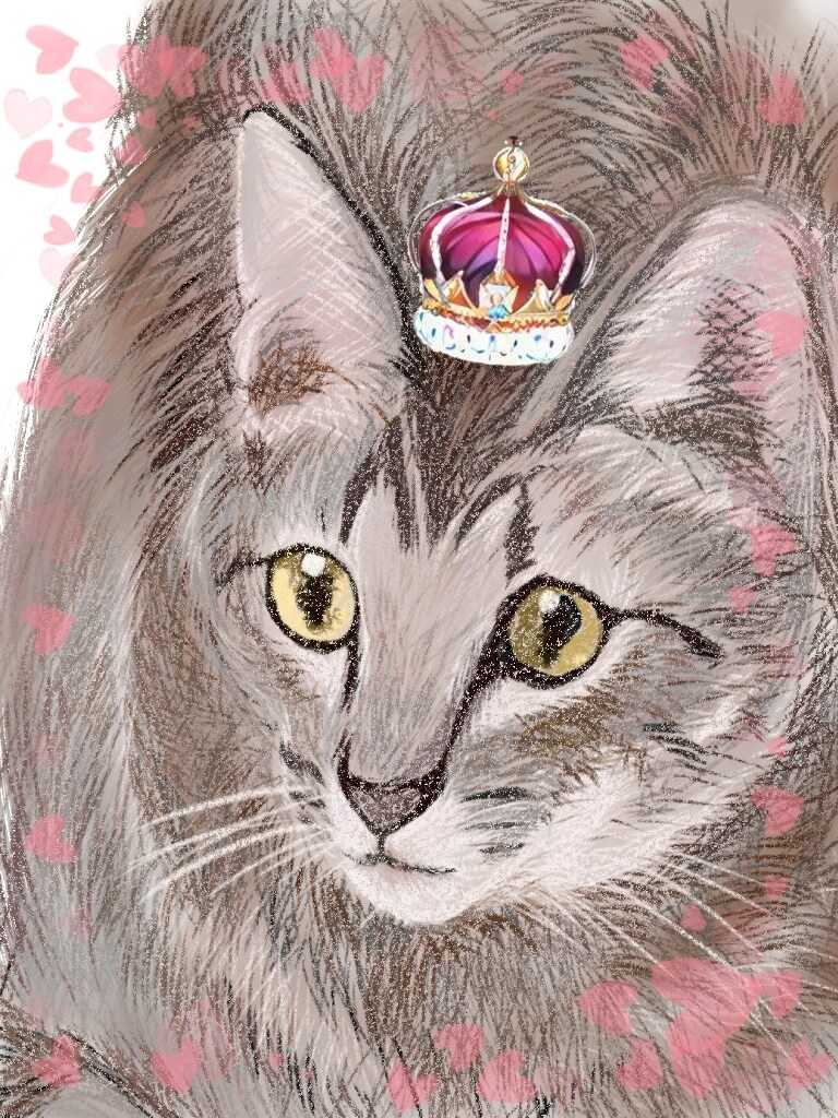 少女漫画風の柔らかいイラスト描きます 写真風背景入り画、犬猫さん等のポップなスタンプ風画もOK。 イメージ7