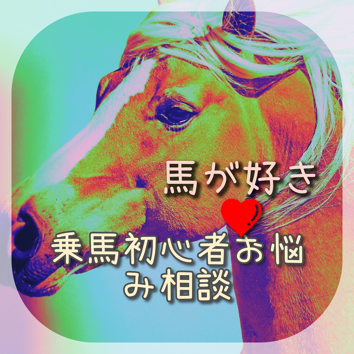 馬が好き又は乗馬始めた方のお悩み相談やお話致します 熟年から始めた乗馬4年程頑張りました。初心者の方や馬好きの方 イメージ1