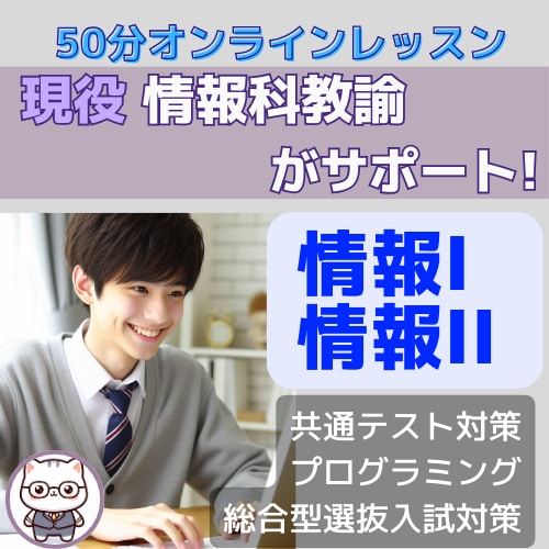 情報I・情報IIを現役情報科教師がサポートします キャリア13年の情報科教員が提供するオンライン家庭教師 イメージ1
