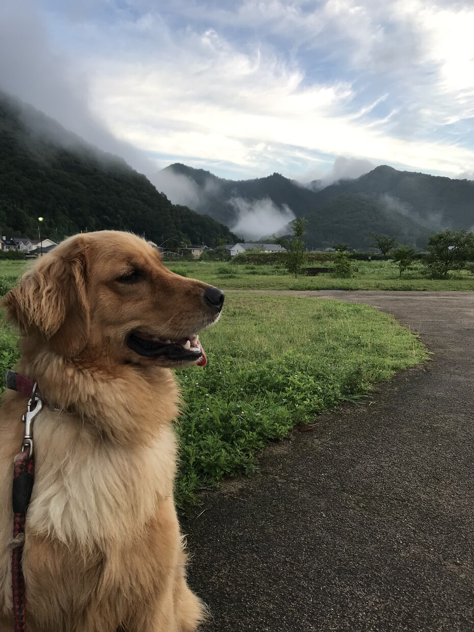 仕事の悩みを整理し次の一手を決めます 精神的に病んでしまう前に、お話し聞きますよ イメージ1