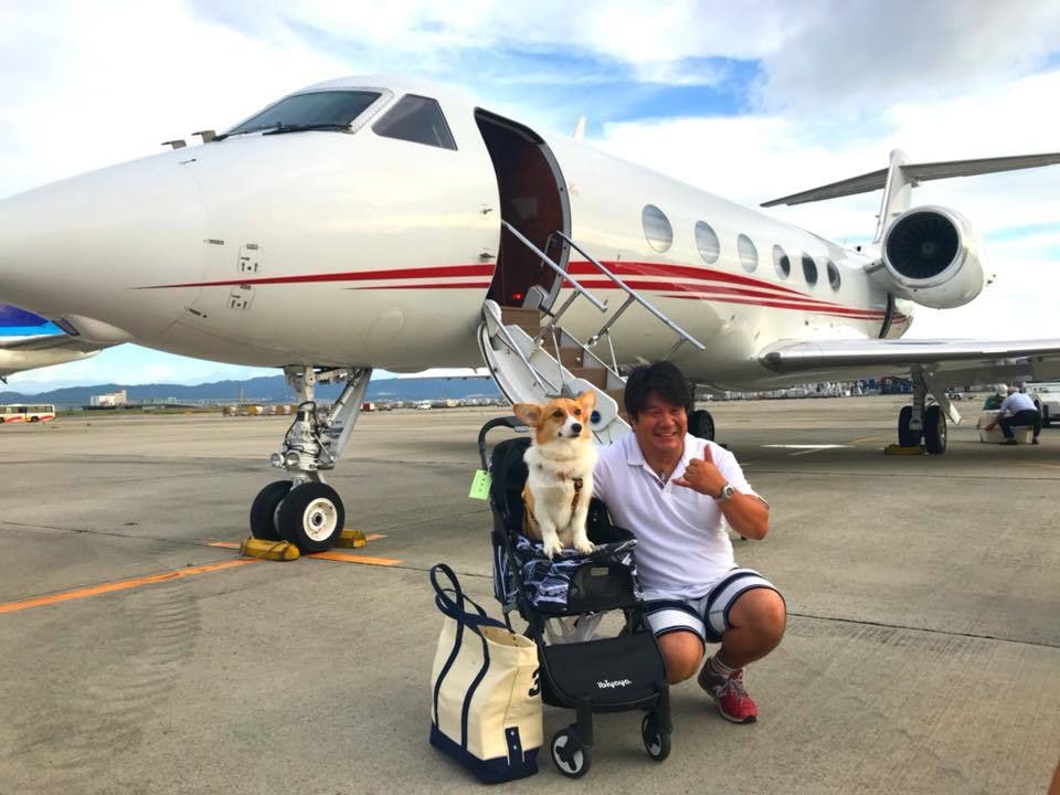 愛犬と優雅な旅ができるよう一緒にプランを考えます もうチープな愛犬旅何てこりごり。愛犬と優雅な旅を望む方限定！ イメージ9