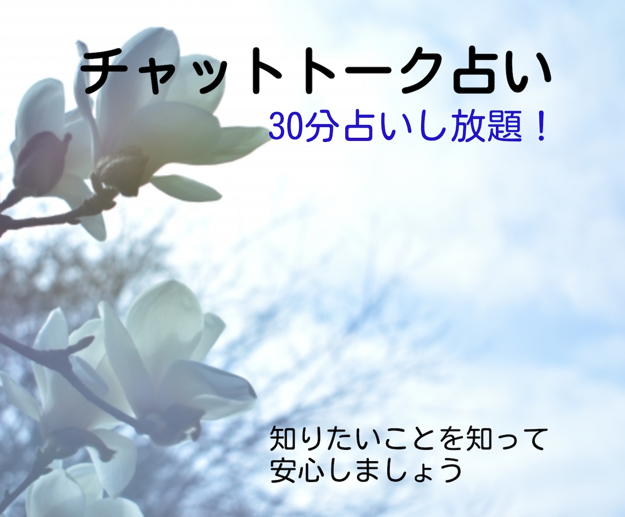 30分で目一杯占いできるチャットトークをします どんどん質問してください！どんどんお答えしていきます！ イメージ1