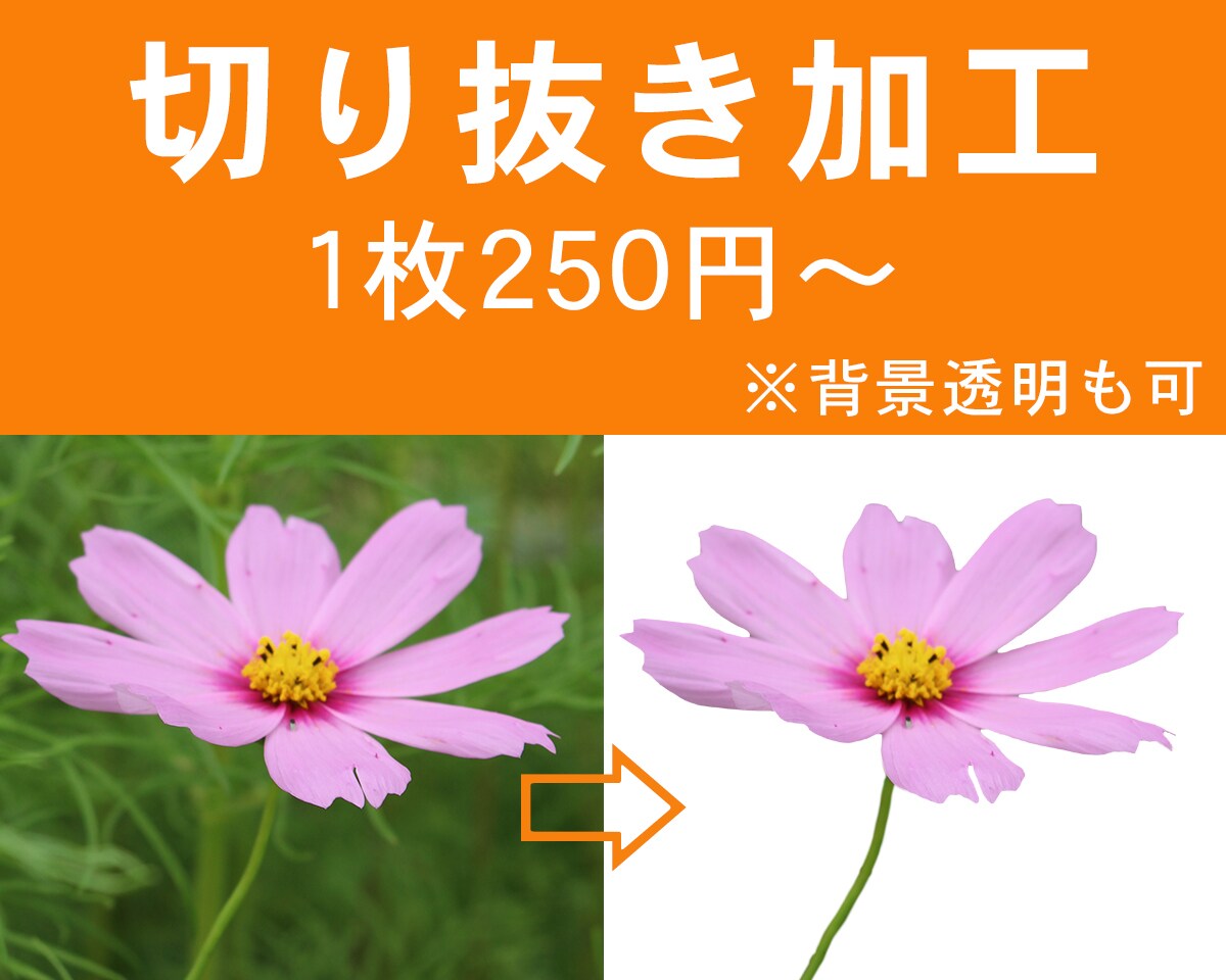 画像切り抜きます 【最短当日作成】画像の切り抜き加工 イメージ1
