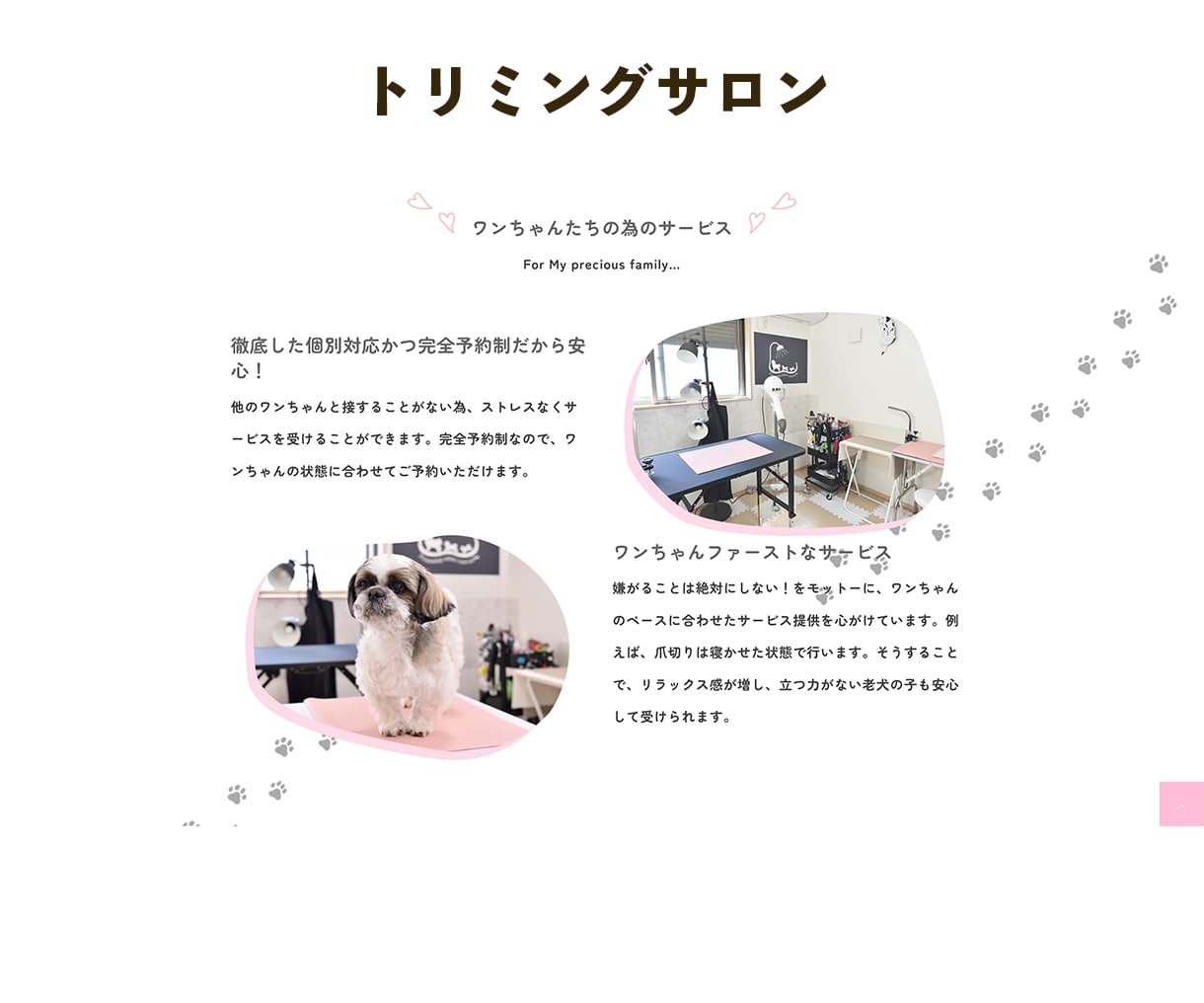 Web制作会社がコスパよく高品質サイトを制作します 【3名様限定価格！】画像もテキストも全ておまかせOK！ イメージ9