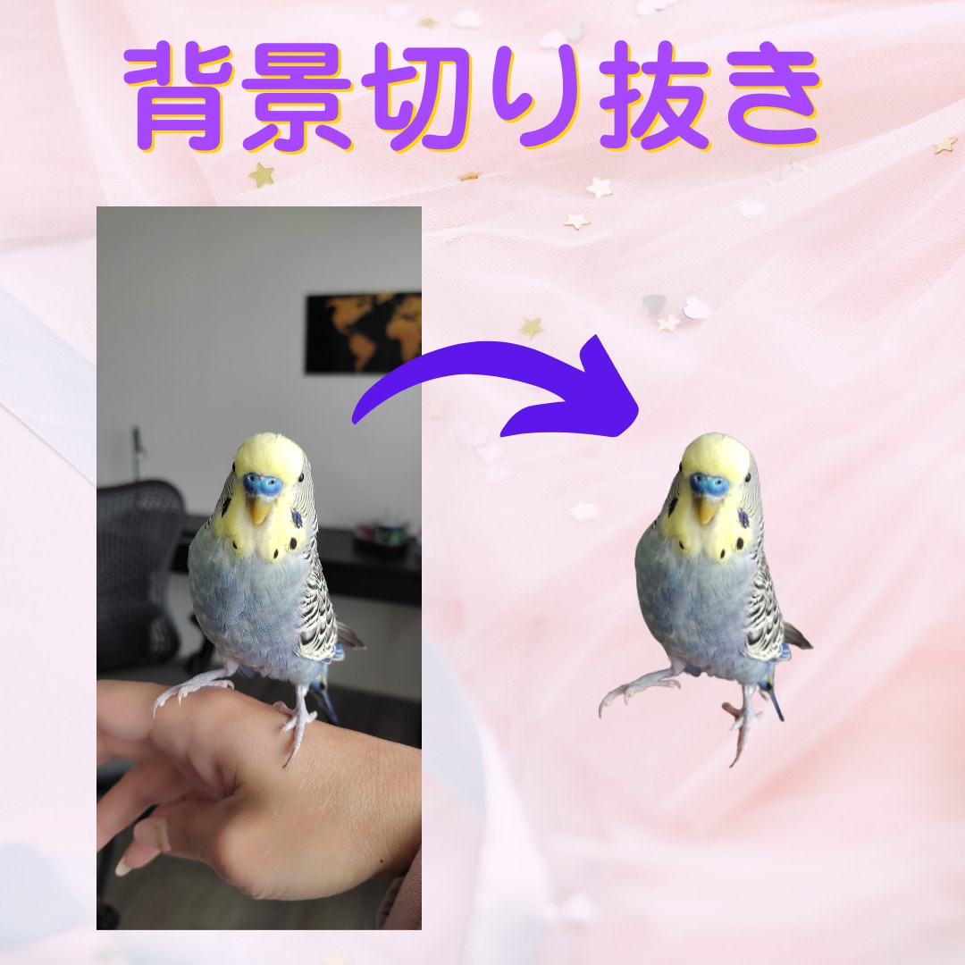 背景切り抜き 3枚で1000円！でご提供します 写真を一瞬で際立たせる！SNS・ビジネスに最適な一枚を。 イメージ2