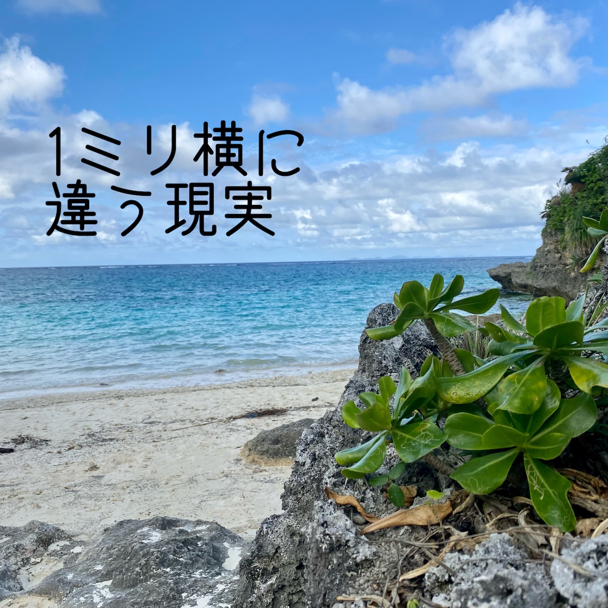 私はここで終わらない！そんな貴女に寄り添います あなたの心の声を引き出し、可能性を導きだします イメージ7
