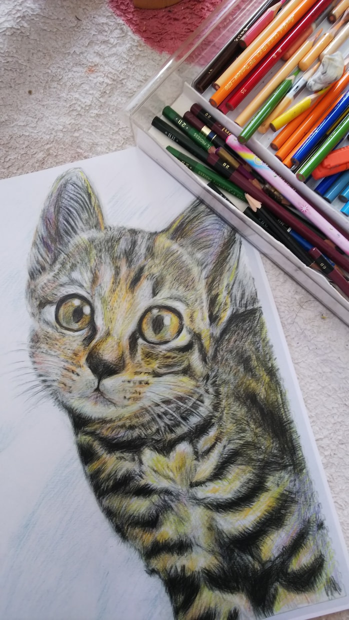 色鉛筆で動物画、人物も描きます 記念品として、遺影として飾りたい方 イメージ6