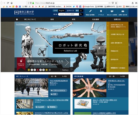 歴21年のプロがマーケティング力有のLP作成します 公官庁・海外サイト制作プロがランディングページ作成します イメージ5