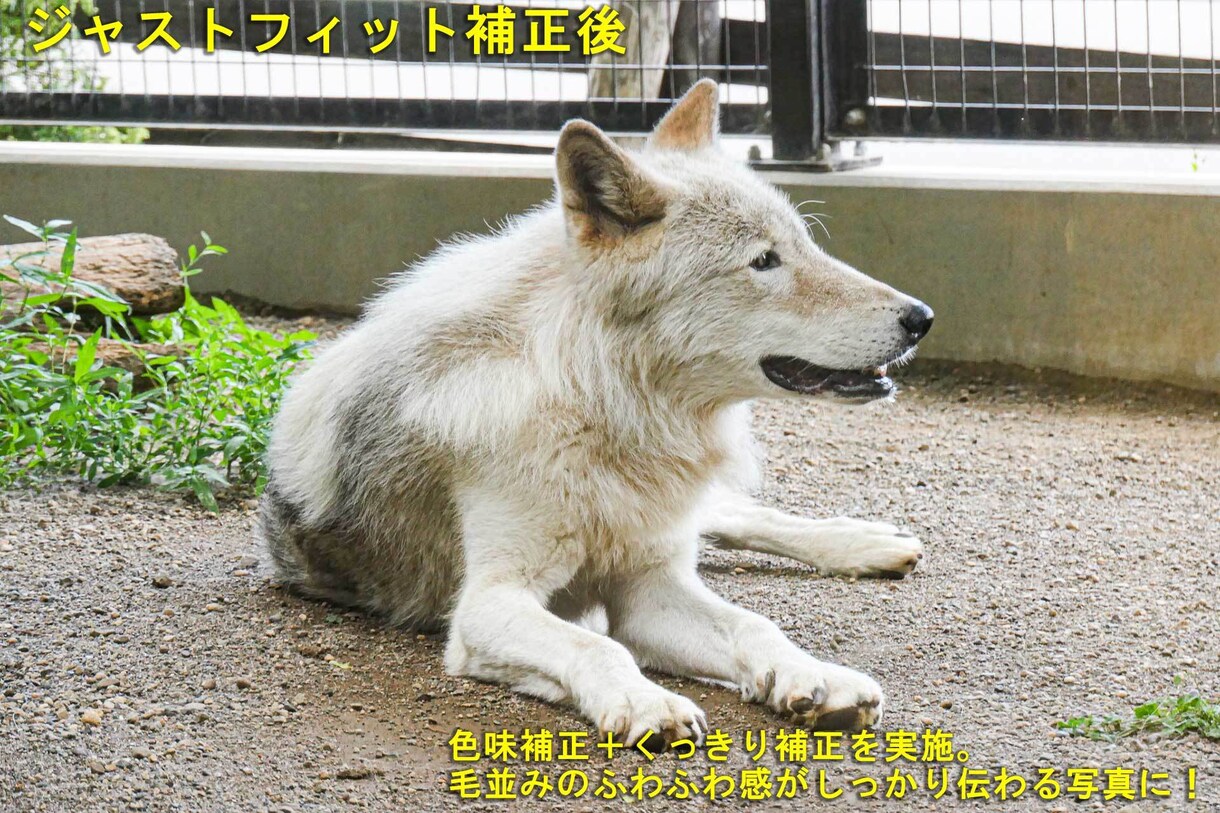 色味補正&くっきり加工します イマイチ写真をイケてる写真に✨今だけ5枚で2000円 イメージ5