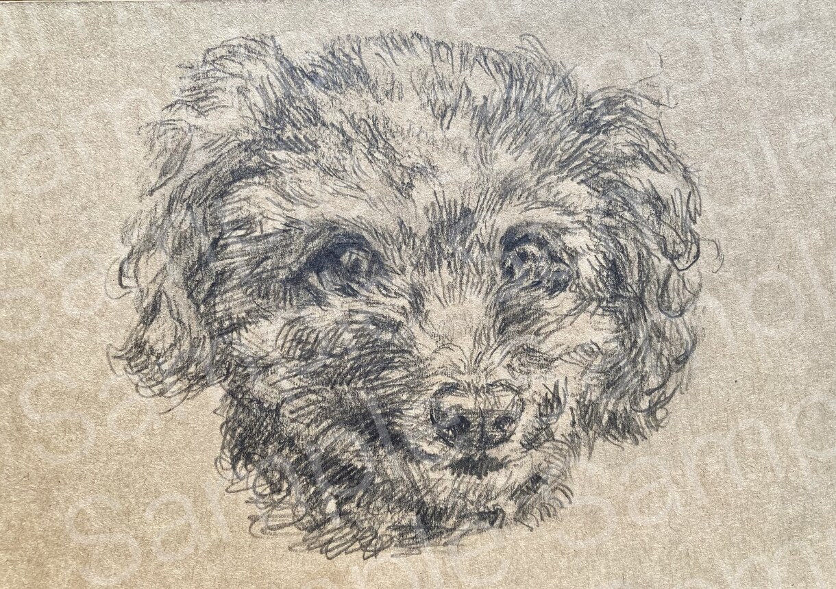 鉛筆でぬくもりを感じる動物の似顔絵を制作します 【葉書サイズ手描き鉛筆画】インテリア、贈り物、アイコン等に イメージ5