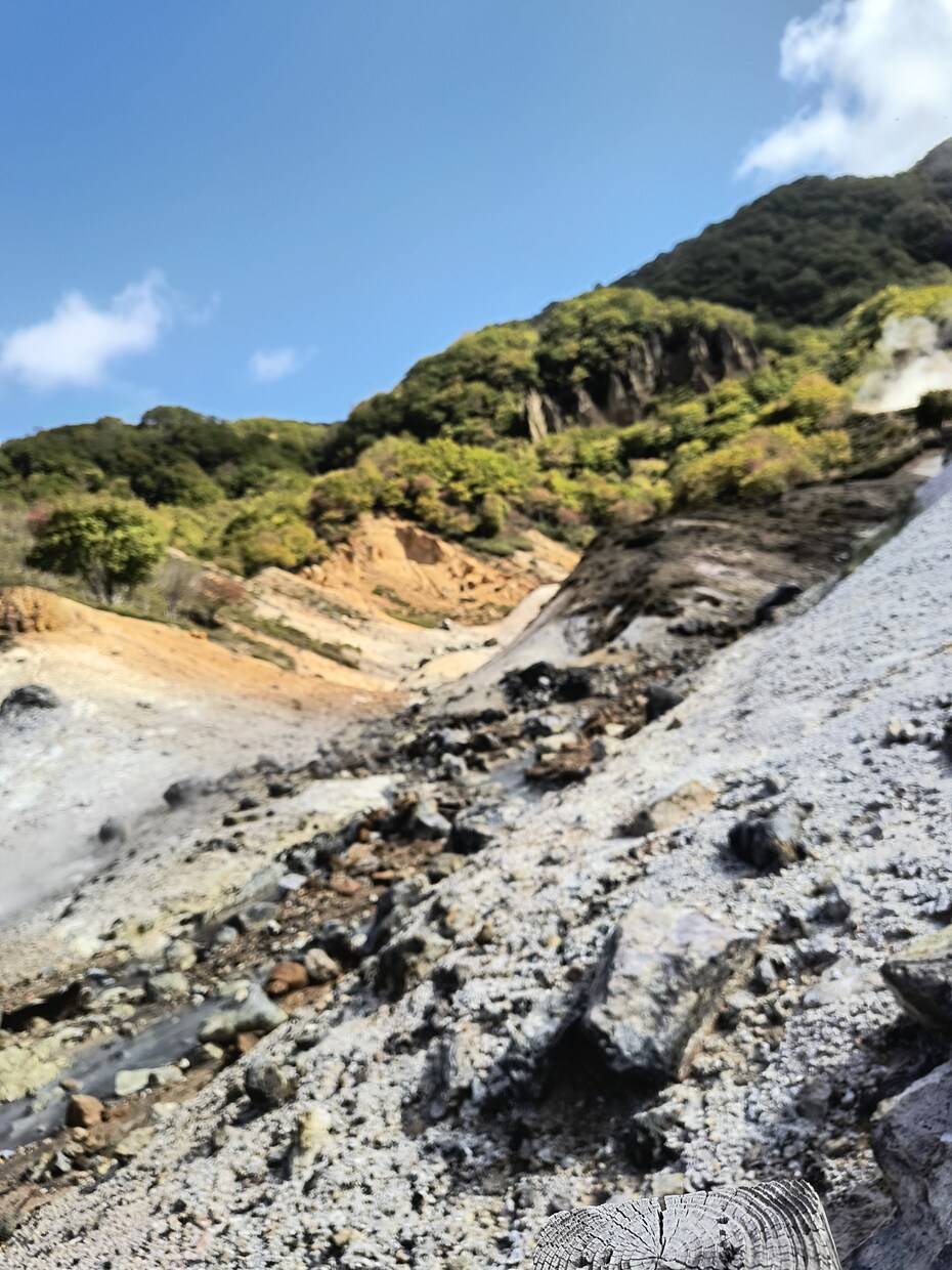 子連れの旅行プランを立てます 子連れでも楽しく無理のない旅行プランを作成します イメージ1