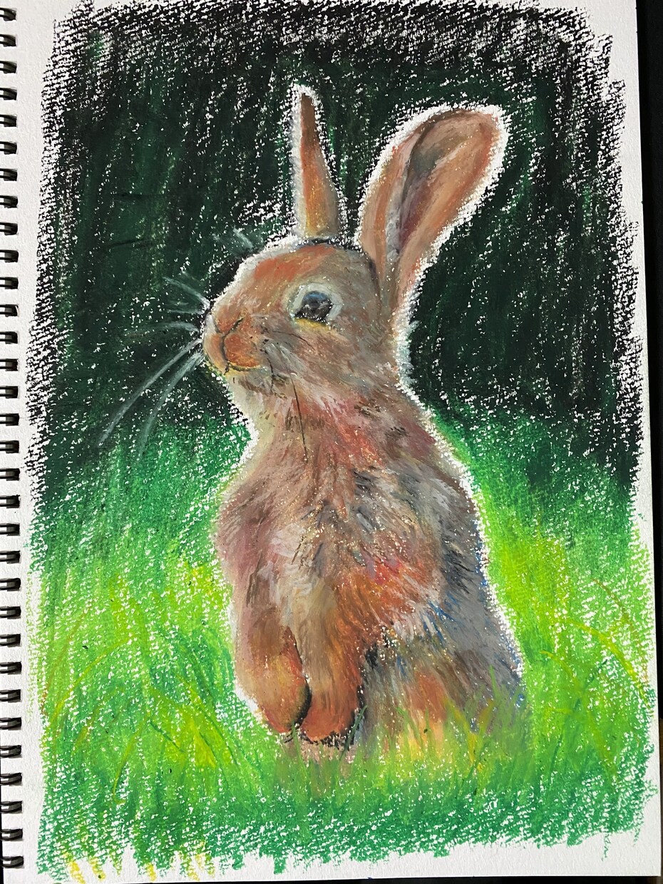 ペット似顔絵　鉛筆やクレヨンで描きます そばにいる、あたたかさをお届けします イメージ6