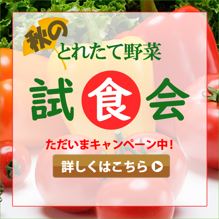 低価格なバナー、デザインします 低価格・修正可能・シンプルをご提供いたします。 イメージ6