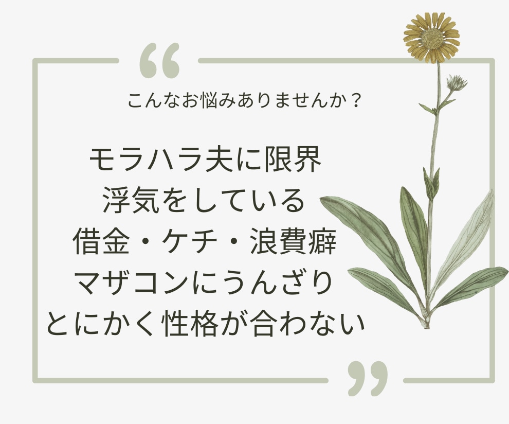 夫婦の危機/修復か離婚か我慢か経験者が寄り添います DV/モラハラ/浮気/借金/セックスレス/マザコン/限界かも イメージ3