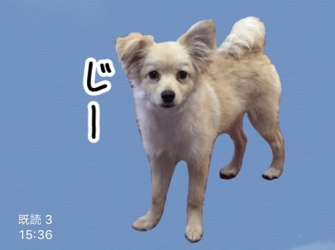 写真からLINEスタンプを作成します ご家族、またはペットのLINEスタンプを作りませんか？ イメージ2