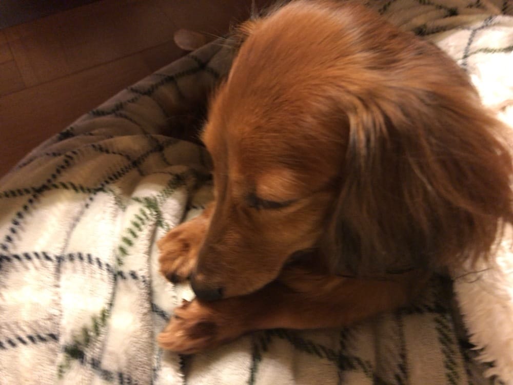 寂しい・孤独・電話相手・相談♡など聞きます 楽しい時間を共に。人に言えないような悩み相談も。 イメージ1