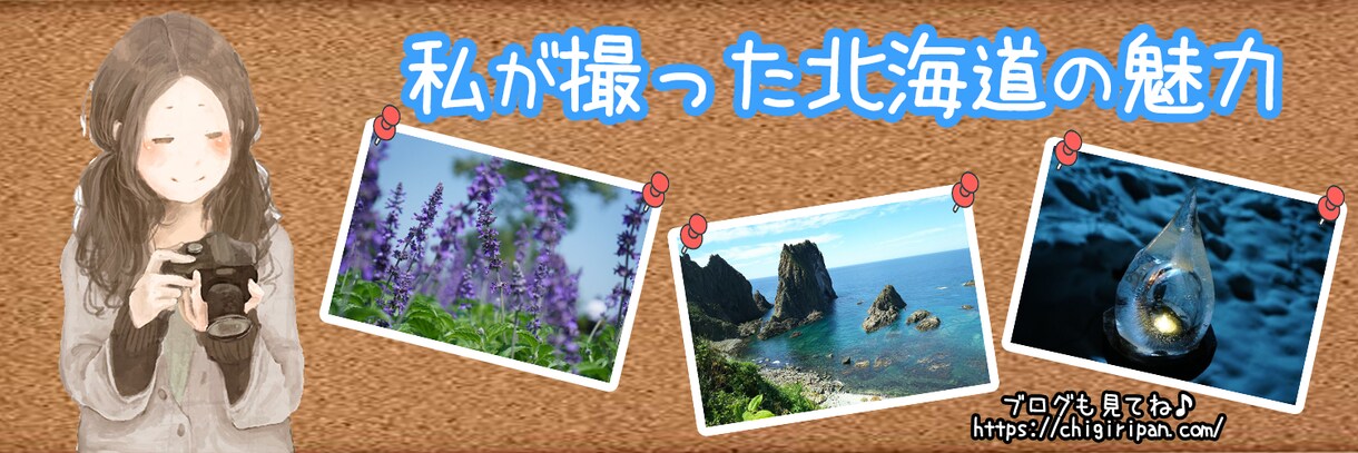 魅力的なTwitterヘッダー画像作ります あなたの魅力を引き出すヘッダーを一緒に作ります イメージ3